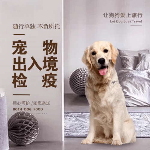 南昌市宠物托运到哥伦比亚猫狗宠物入境规定和