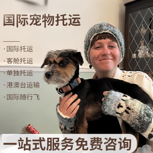 南昌市国际宠物托运到阿根廷宠物入境规定和要