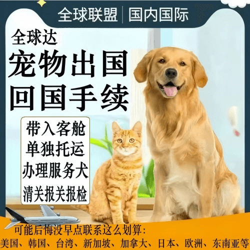 南昌市宠物托运到柬埔寨宠物入境规定和要求
