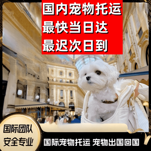 南昌市到澳大利亚（澳洲）宠物入境规定和要求