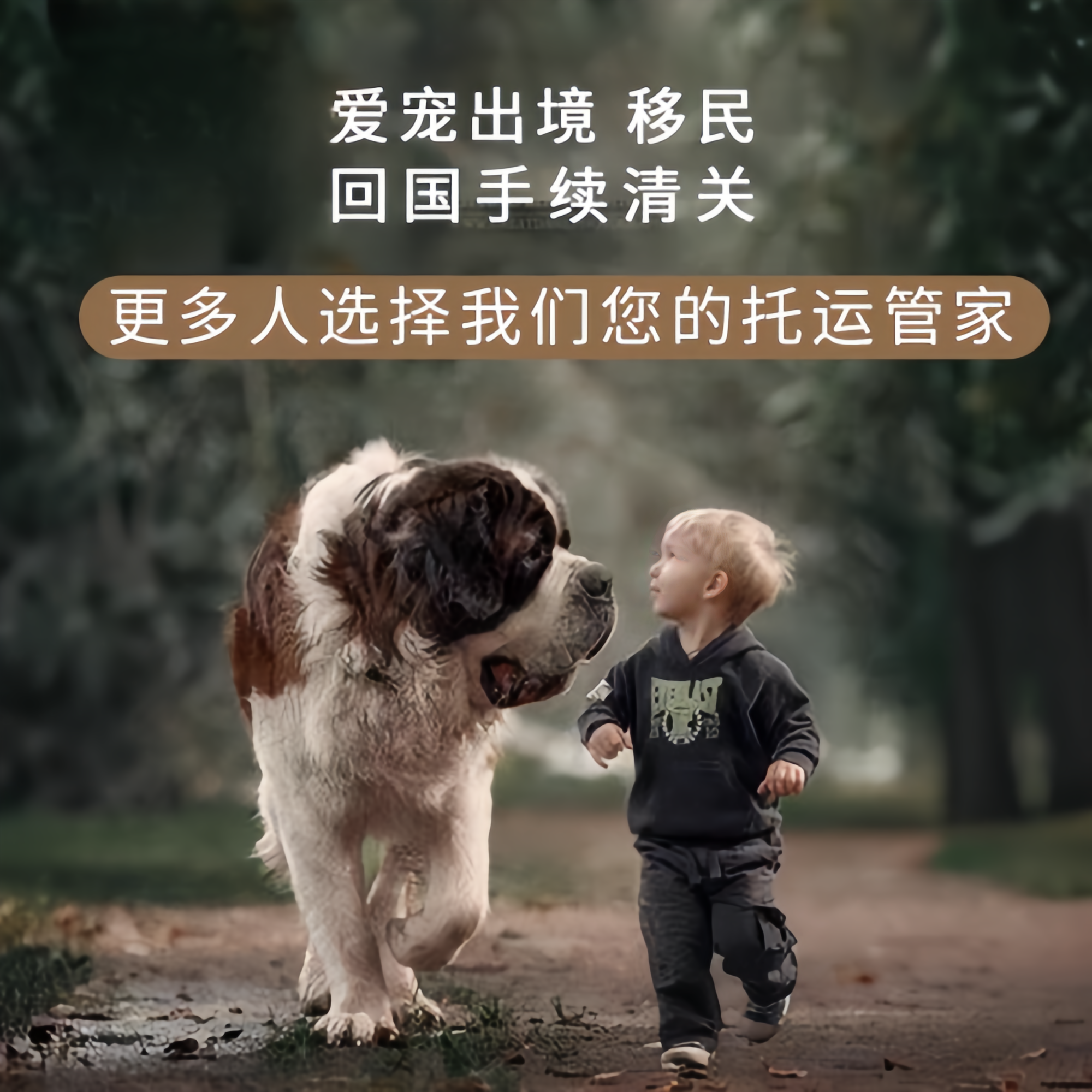 满财南昌市宠物全球达宠物托运在遵守入境目的地政策的条件