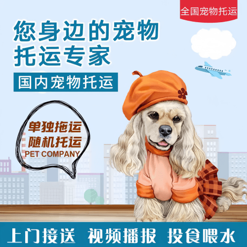 满财南昌市宠物全球达宠物托运作为专业的宠物运输代理机构